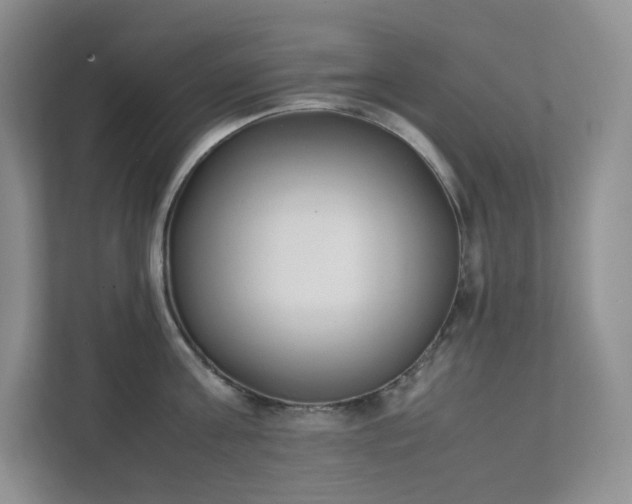 X0000111530811200907211243