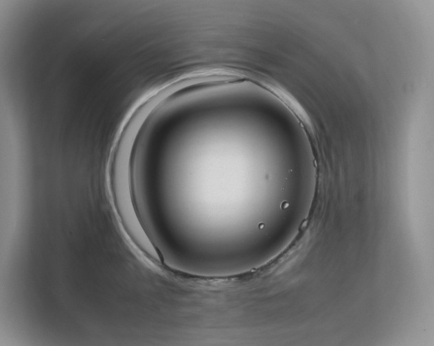 X0000111530813200907211243