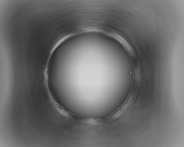 X0000111530814200907211243