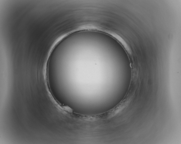 X0000111530815200907211243