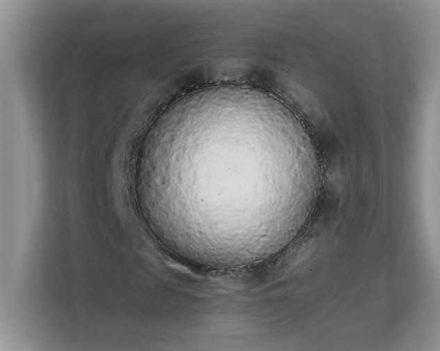 X0000111530817200907211242