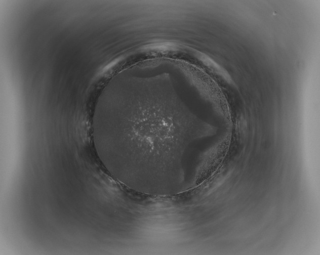 X0000111530822200907211243