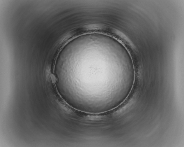 X0000111530825200907211243