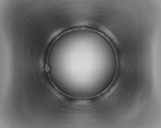 X0000111530826200907211243