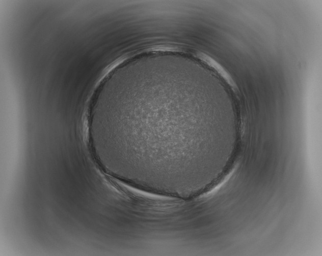 X0000111530829200907211243