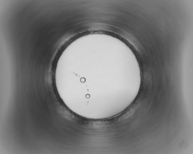 X0000111530832200907211243