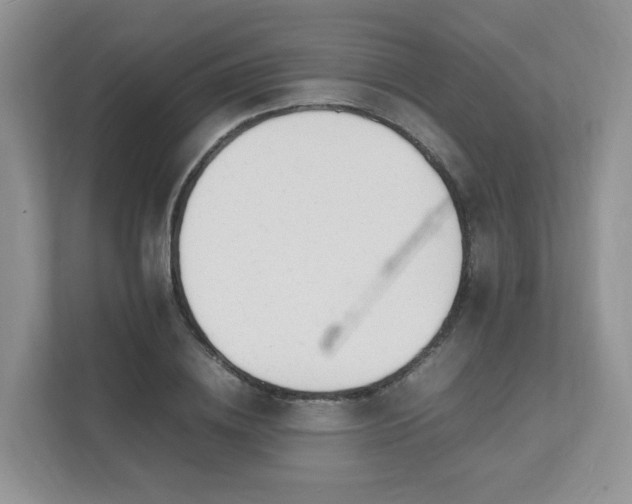 X0000111530836200907211243