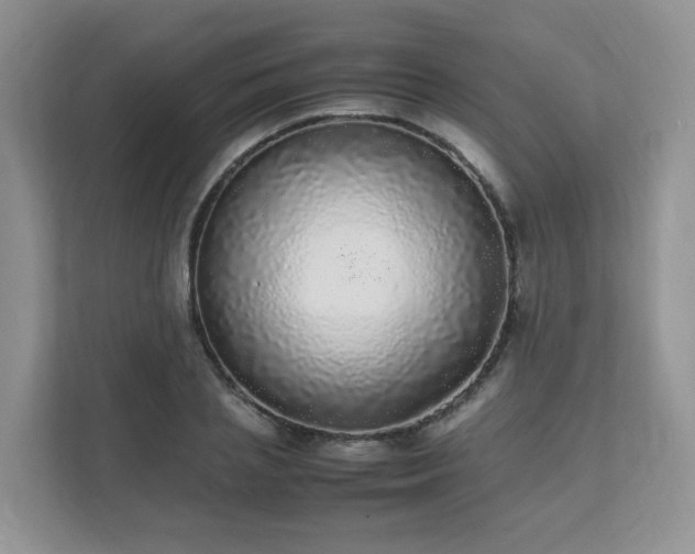 X0000111530837200907211243