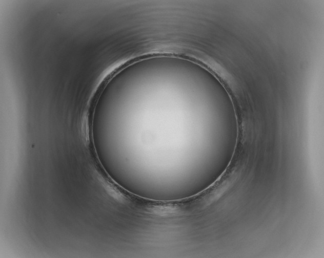 X0000111530838200907211243