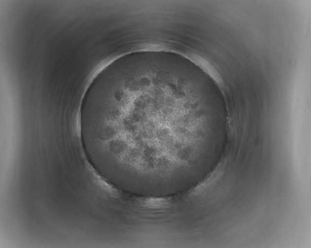 X0000111530839200907211243