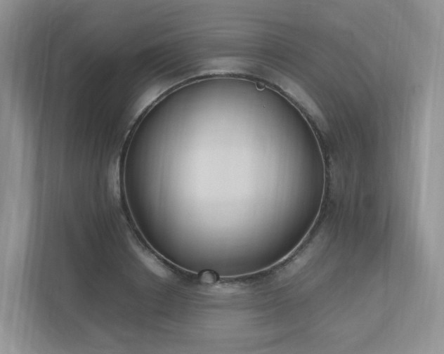 X0000111530842200907211243