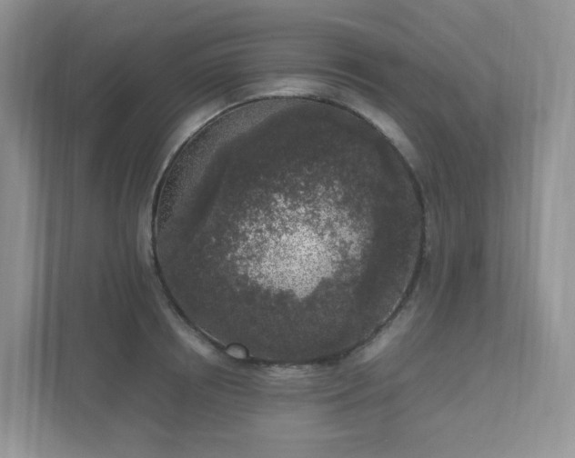 X0000111530850200907211243