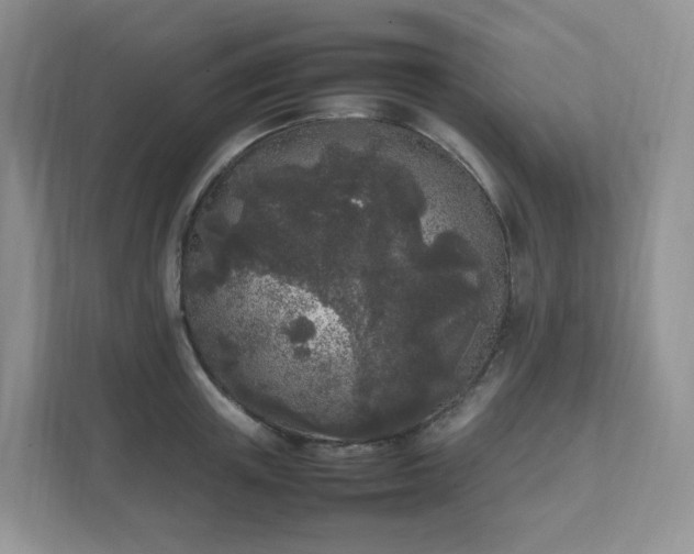 X0000111530851200907211243