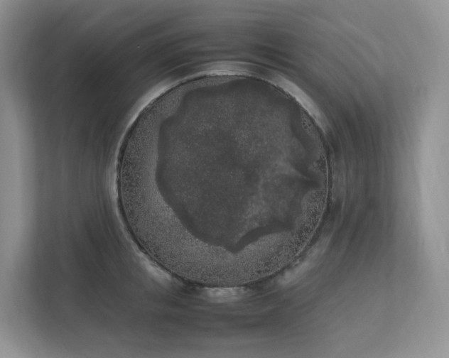 X0000111530853200907211243