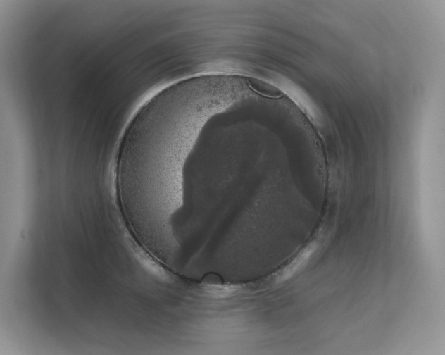 X0000111530854200907211243