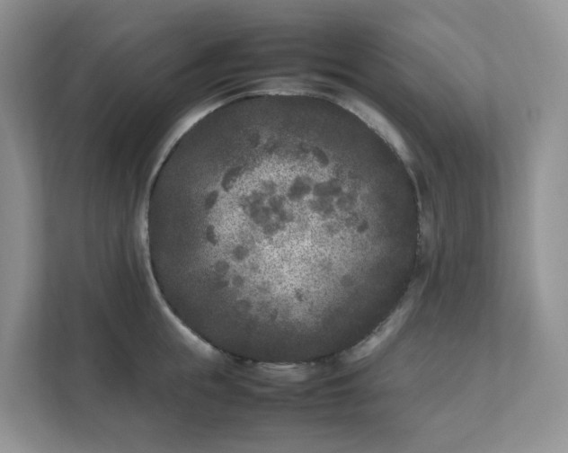 X0000111530855200907211243