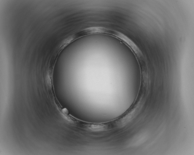 X0000111530857200907211243