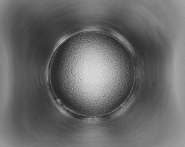 X0000111530858200907211243