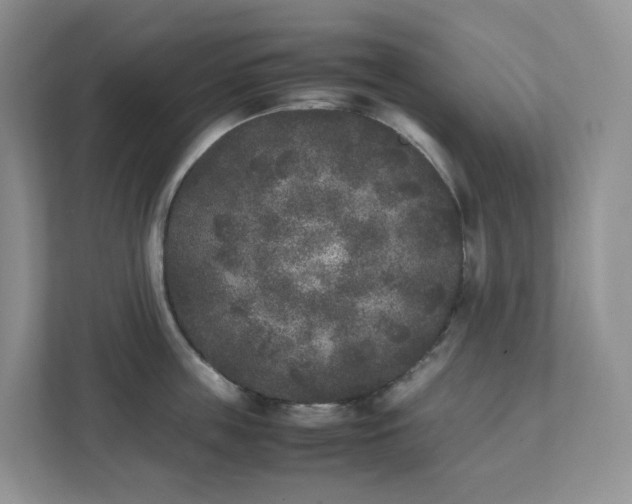 X0000111530859200907211243