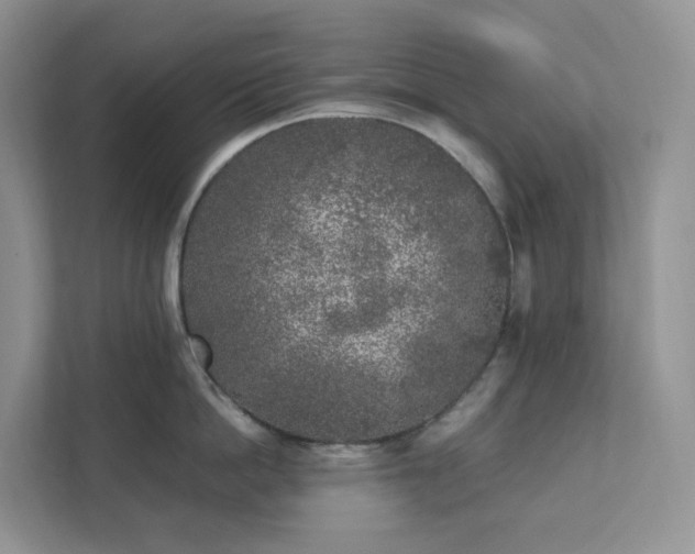 X0000111530862200907211243