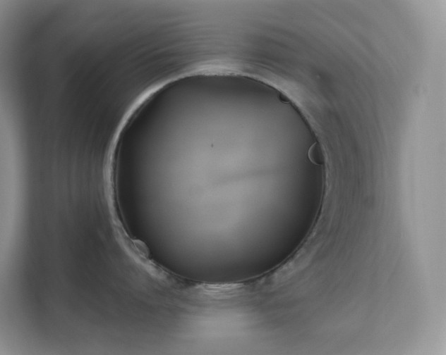 X0000111530864200907211243