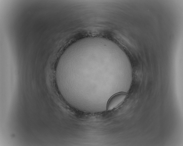 X0000111530865200907211242