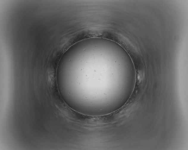 X0000111530867200907211242