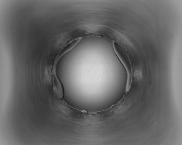 X0000111530868200907211242