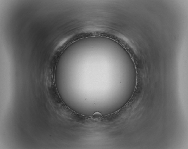 X0000111530871200907211242