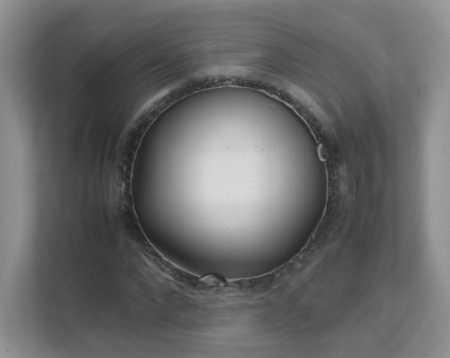 X0000111530872200907211242