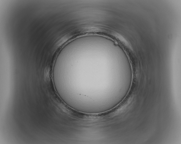 X0000111530873200907211242