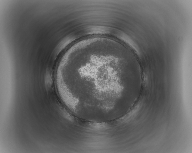 X0000111530874200907211242