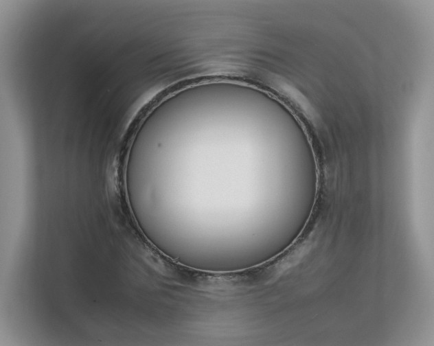 X0000111530875200907211242