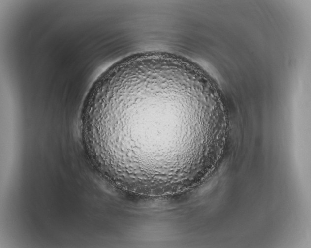 X0000111530879200907211242