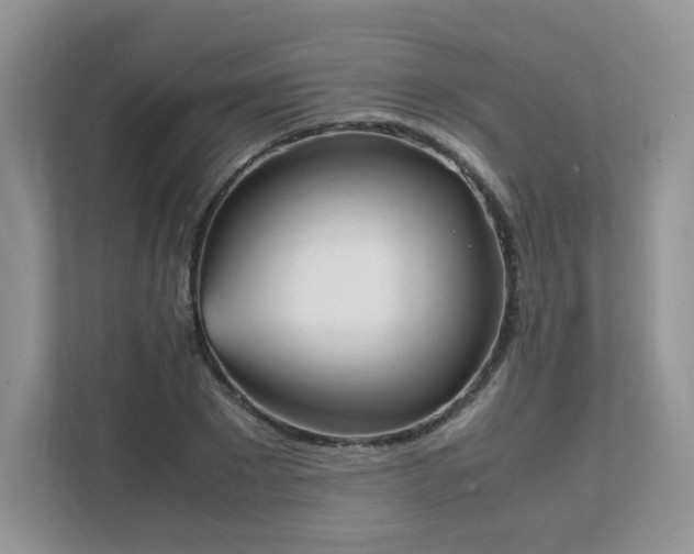 X0000111530881200907211242