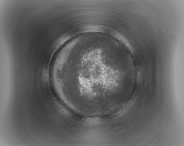 X0000111530882200907211242