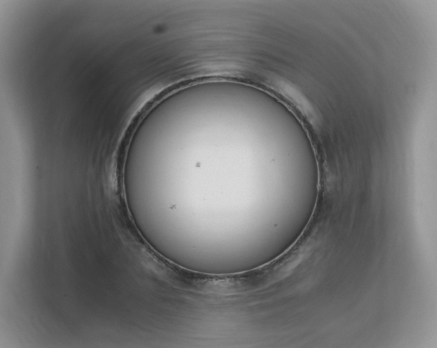 X0000111530883200907211242