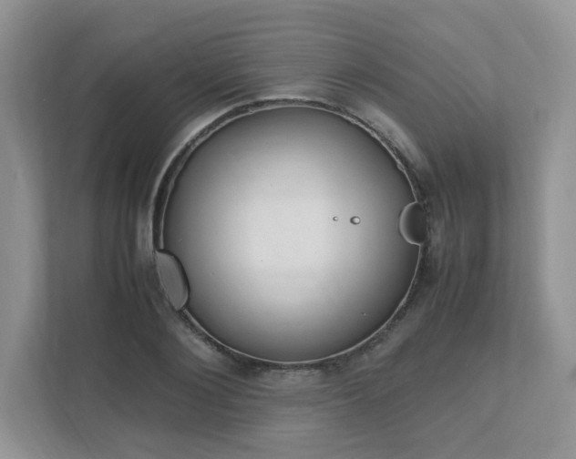 X0000111530884200907211242