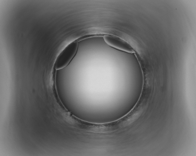 X0000111530885200907211242