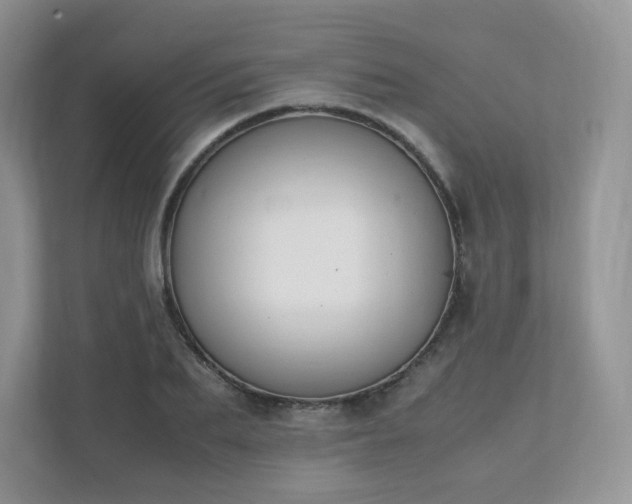 X0000111530887200907211242