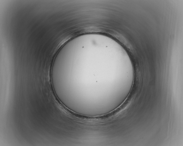 X0000111530889200907211242