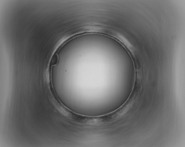 X0000111530891200907211242