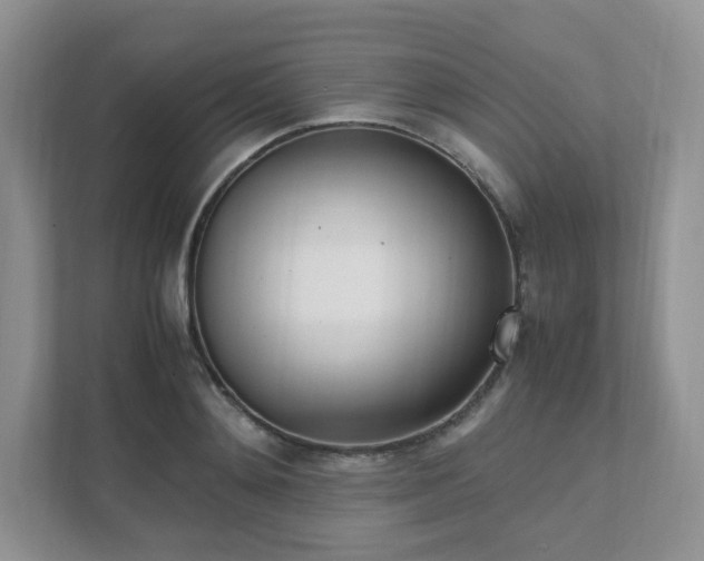 X0000111530892200907211242