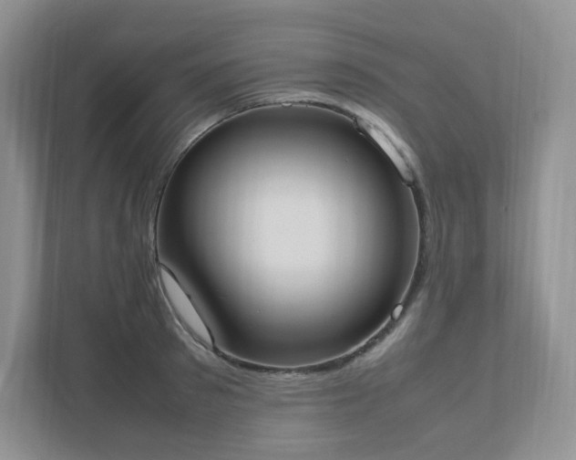 X0000111530897200907211242