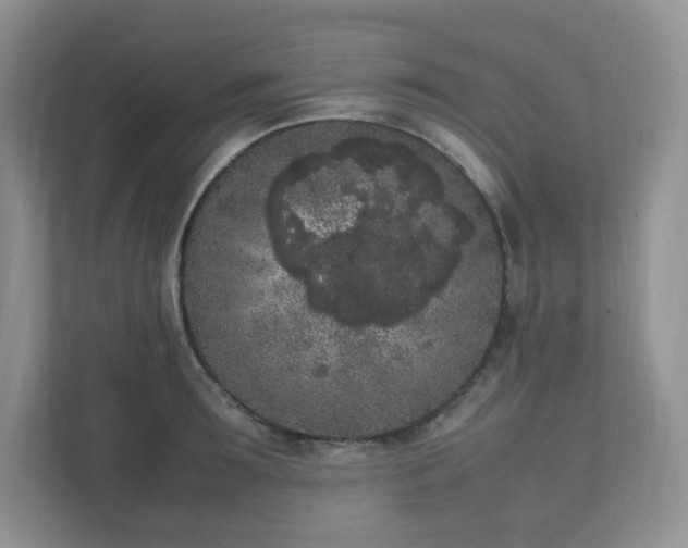 X0000111530899200907211242