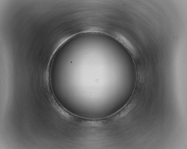 X0000111530900200907211242