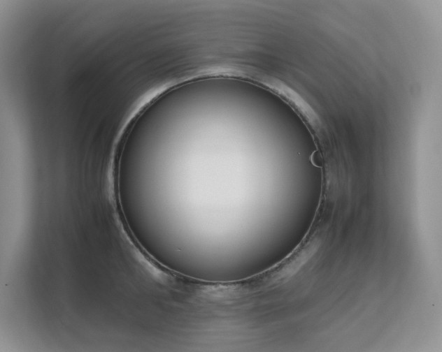 X0000111530902200907211242