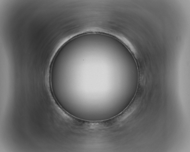 X0000111530903200907211242