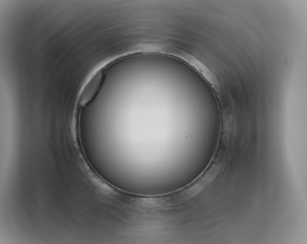 X0000111530904200907211242