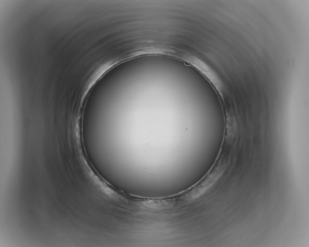 X0000111530906200907211242